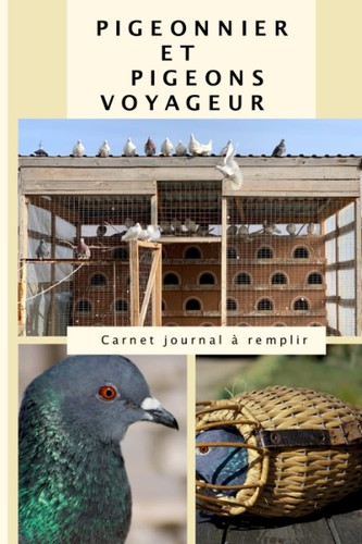 Pigeonnier pigeons voyageur - pigeons,