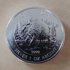 Canada 5$ Wildlife Bison / Buffalo 2013 silver 99.9% 1 oz coin in a zip (argent)