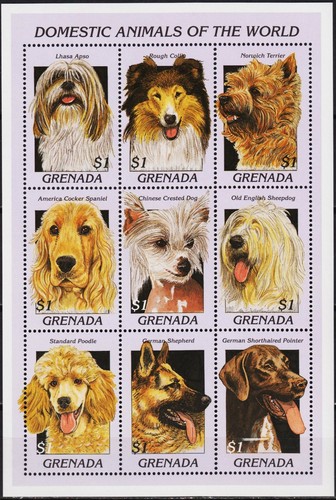 Grenade 1997 chiens collie - chiens,