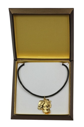 Dogue argentin collier - argentin,
