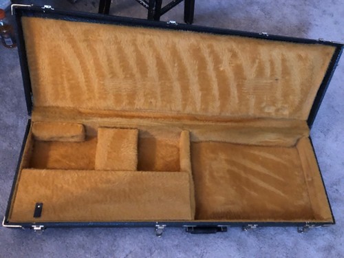 Vintage guitar case - guitar,
