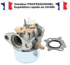 Carburateur 499059 ou 497586