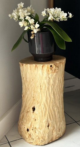 Rondin bois bout de - rondin,