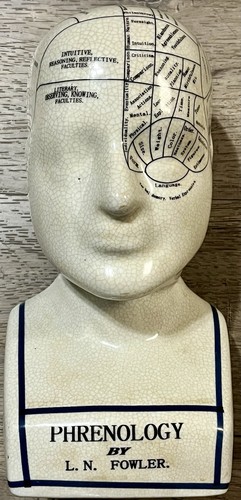 Fowler phrenology head - head, bust