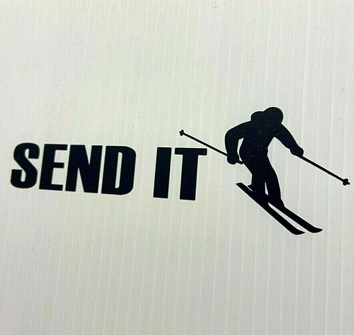 Send ski skicross vinyle - it,
