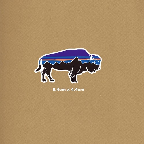 Patagonia fitz roy - fitz, bison