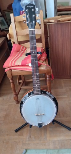 Banjo cordes martinsmith - cordes,