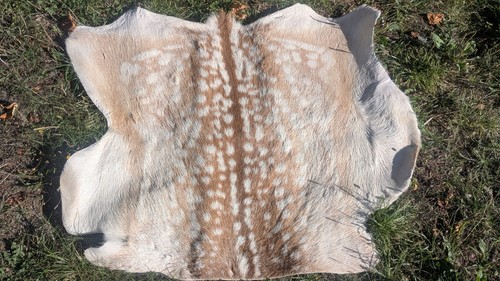 Tapis peau daim - en, de