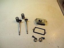 Briggs & Stratton 5 HP 130202 Intake and Exhaust Valves w/Breather