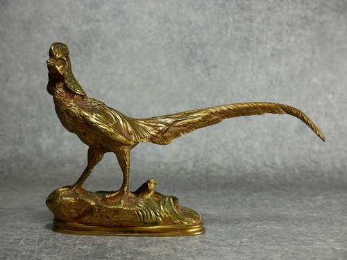 Faisan gold animal bronze - animal,