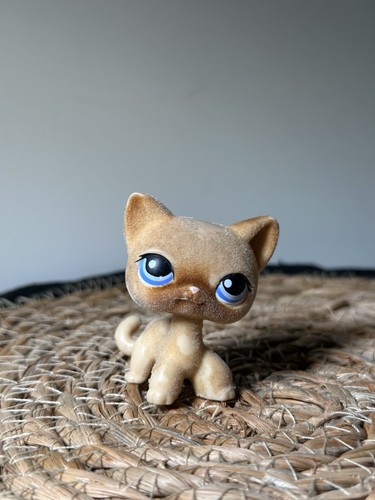 Littlest pet shop chat - pet,