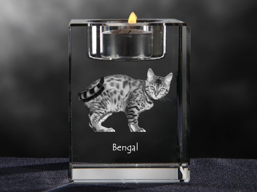 Bengal cristal animals - cristal,