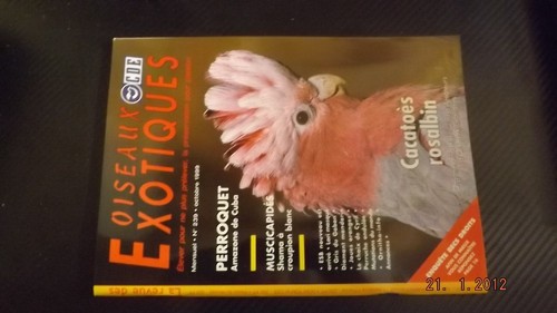 Revue oiseaux exotiques - revue,