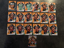 LOT DE 19 CARTES PANINI