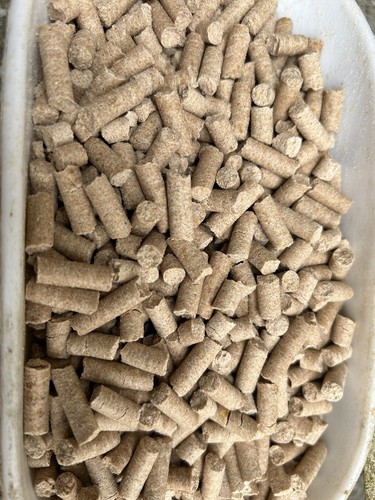 10kg pellets carpe - 10kg, de