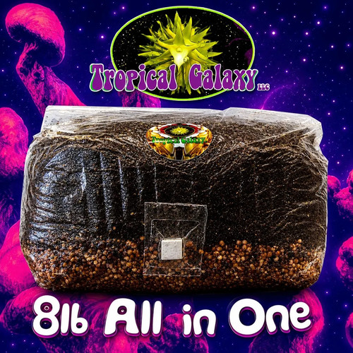 8lb all one super - 8lb, all-in-one