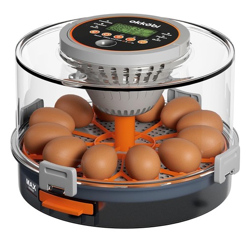 Couveuse incubateur oeufs - couveuse,
