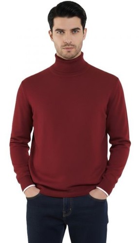 Pull col roulé - , homme