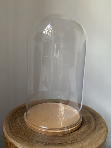 Cloche verre avec plateau - cloche,