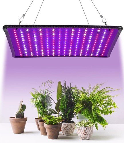 Led lampe plante - led, plante,lampe