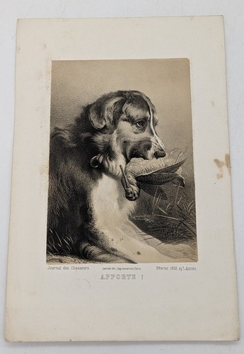Gravure laroche apporte - :,
