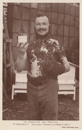 Carte photo hervault - 35, p.