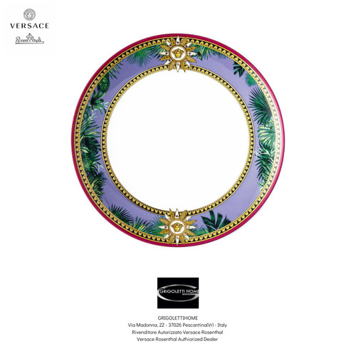 Versace rosenthal jungle - versace,