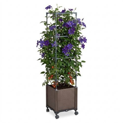 Bac plantes jardinière - plantes,,