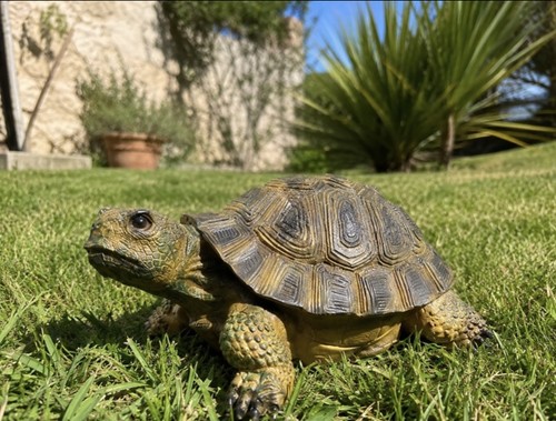 Tortue décorative résine - décorative, en