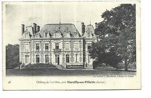 Chateau cerf bois pres - ,