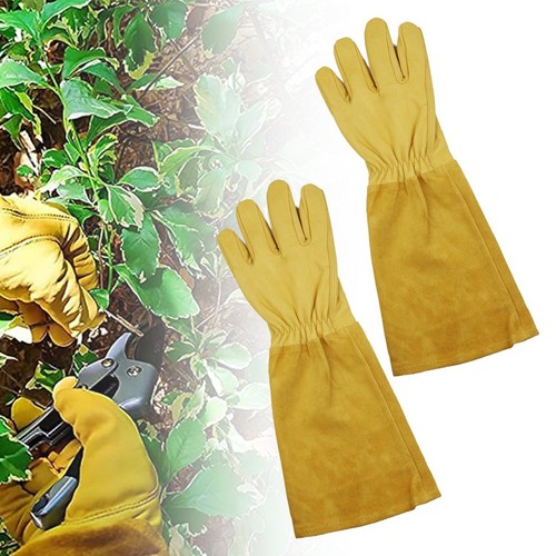 Gants jardinage résistants - gants,