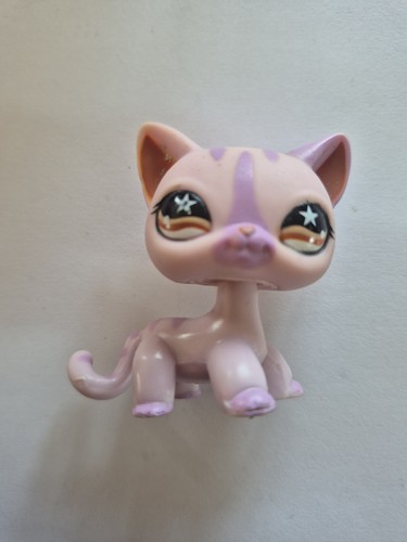 Petshop european cat 933 - petshop,