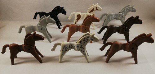 Sympa cheval 1ere - cheval,