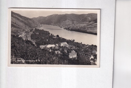 G4785 carte postale spitz - carte,