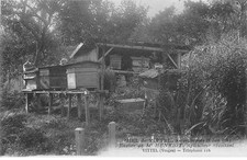 VOSGES. VITTEL  Miel de Vittel