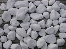 Galets blanc décoratifs pour
