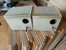 2 Nid Perruche Ondulee 