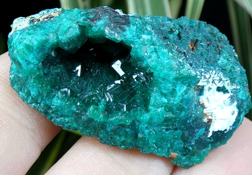 Dioptase vert intense - , en