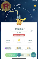 Pikachu Lucario Hat Costume Non-Shiny Go Reg or 1M