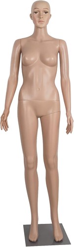 Female mannequin body inch - mannequin,