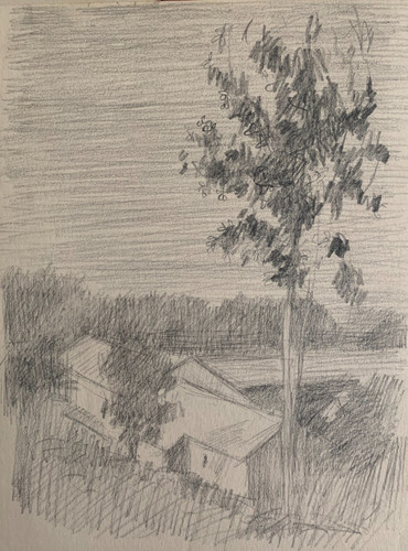 Noel feuerstein - noel,
