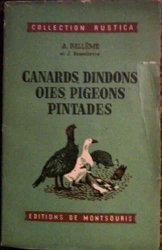 Canards dindons oies pigeons