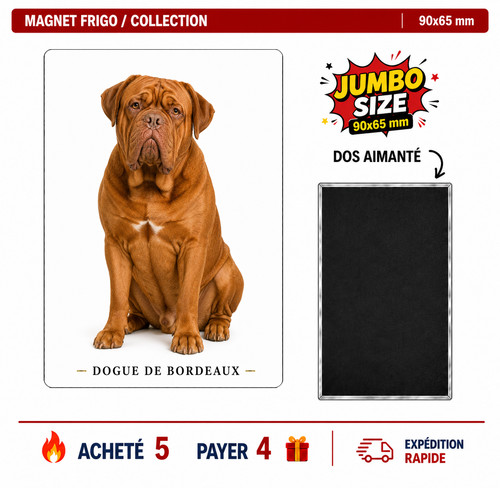Magnet dogue bordeaux 90x65 - magnet,