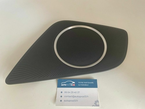 Grille haut parleur gauche - grille,