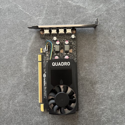 Nvidia quadro p1000 high - quadro,
