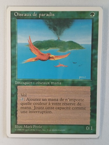 Rush francais oiseaux - oiseaux, de