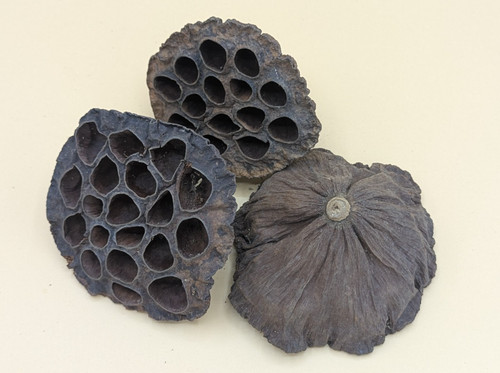 Décorations naturelles