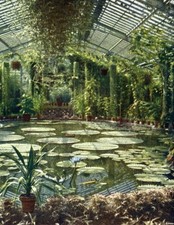 Germany Frankfurt Garden Old