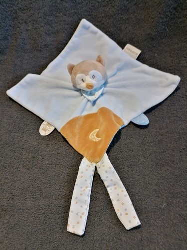 Doudou plat raton laveur - , bleu