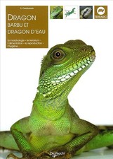 Dragon barbu et dragon d'eau